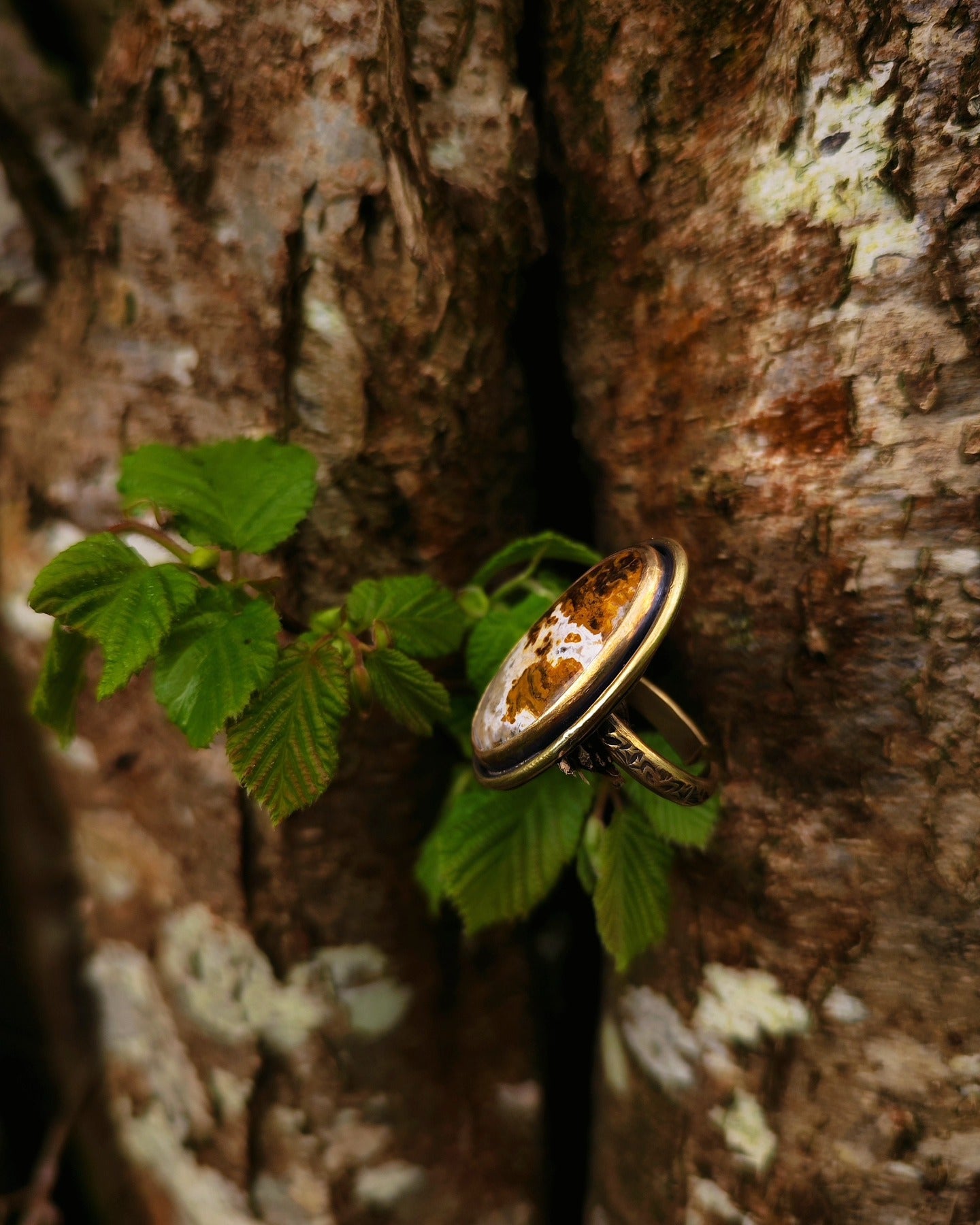 Bague Écorce en jaspe paysage