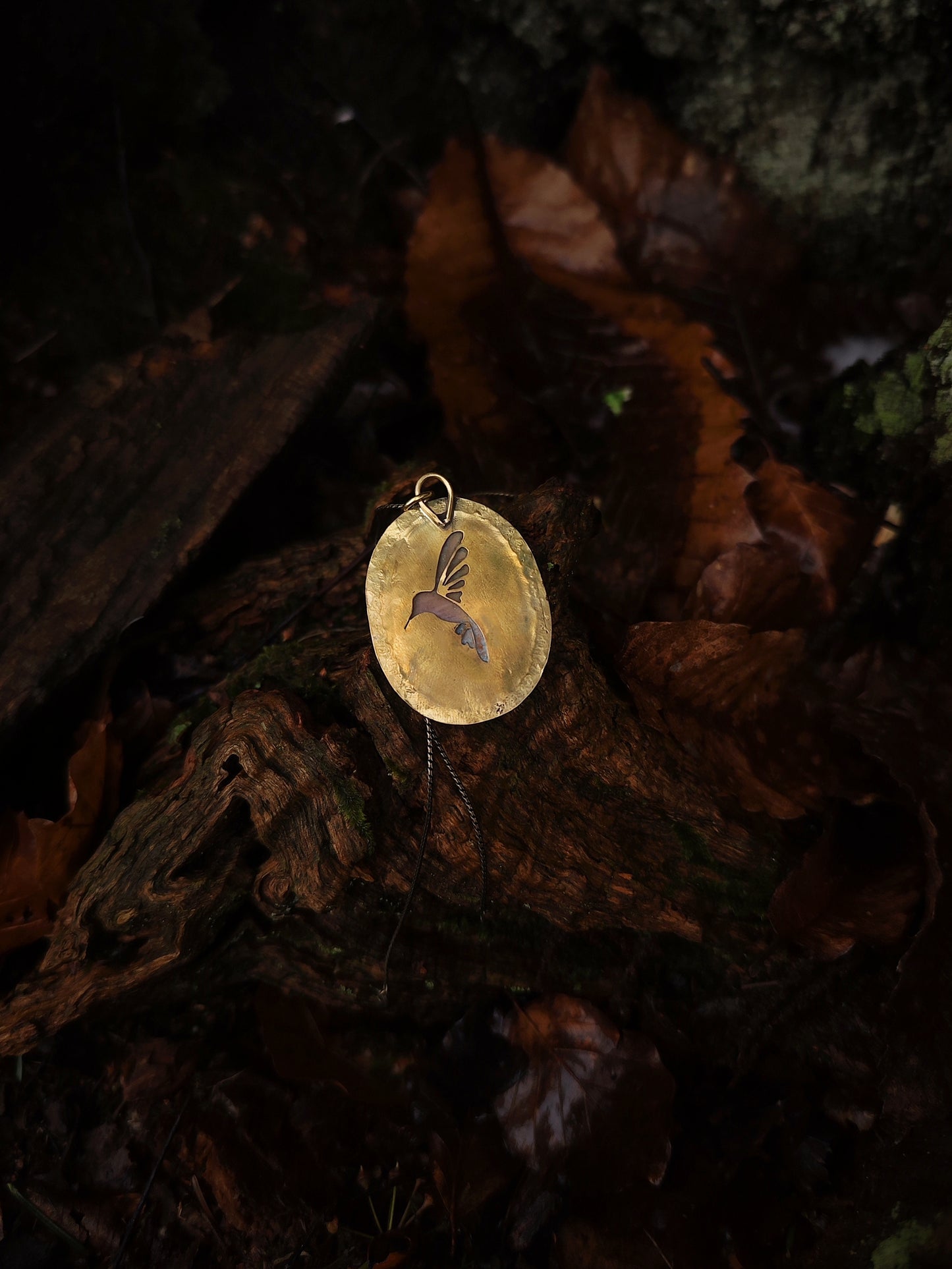 Collection IMBOLC ☀️ Le vol du colibri
