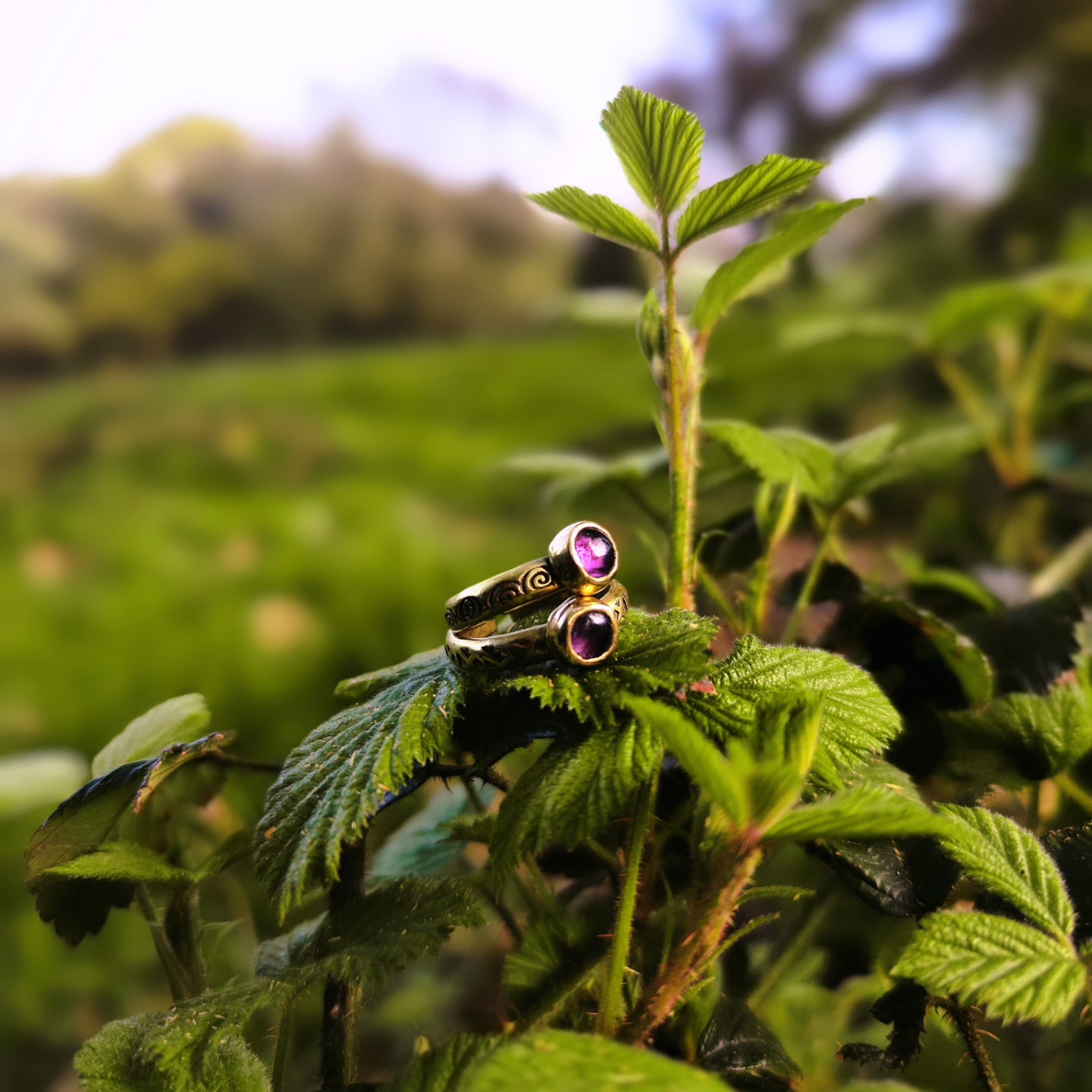 Bagues jumelles en améthyste