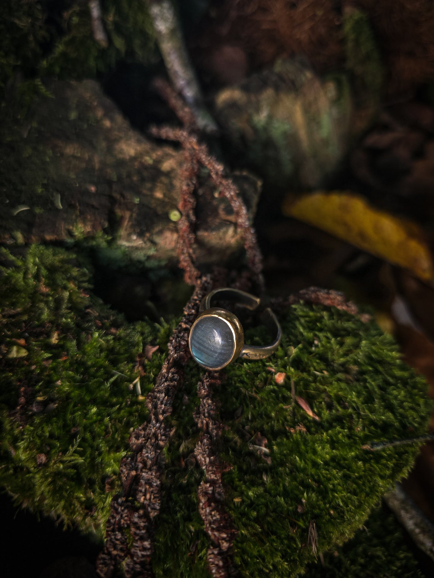 Bagues "Les Labradorables"