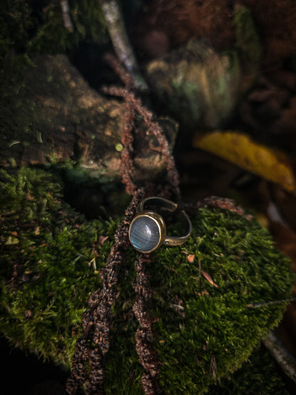 Bagues "Les Labradorables"