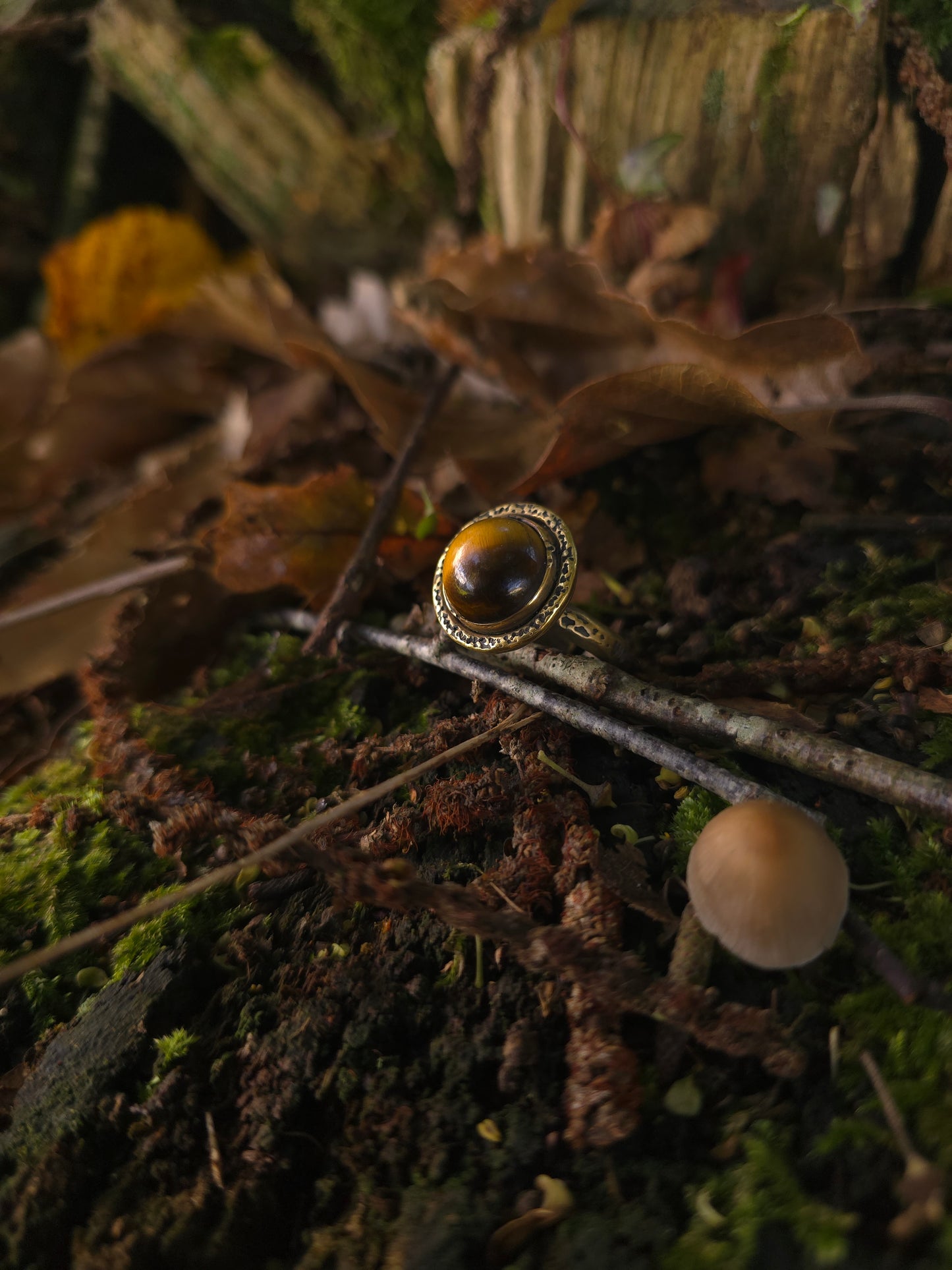 Collection SAMHAIN 🦇 Bague Œil de tigre
