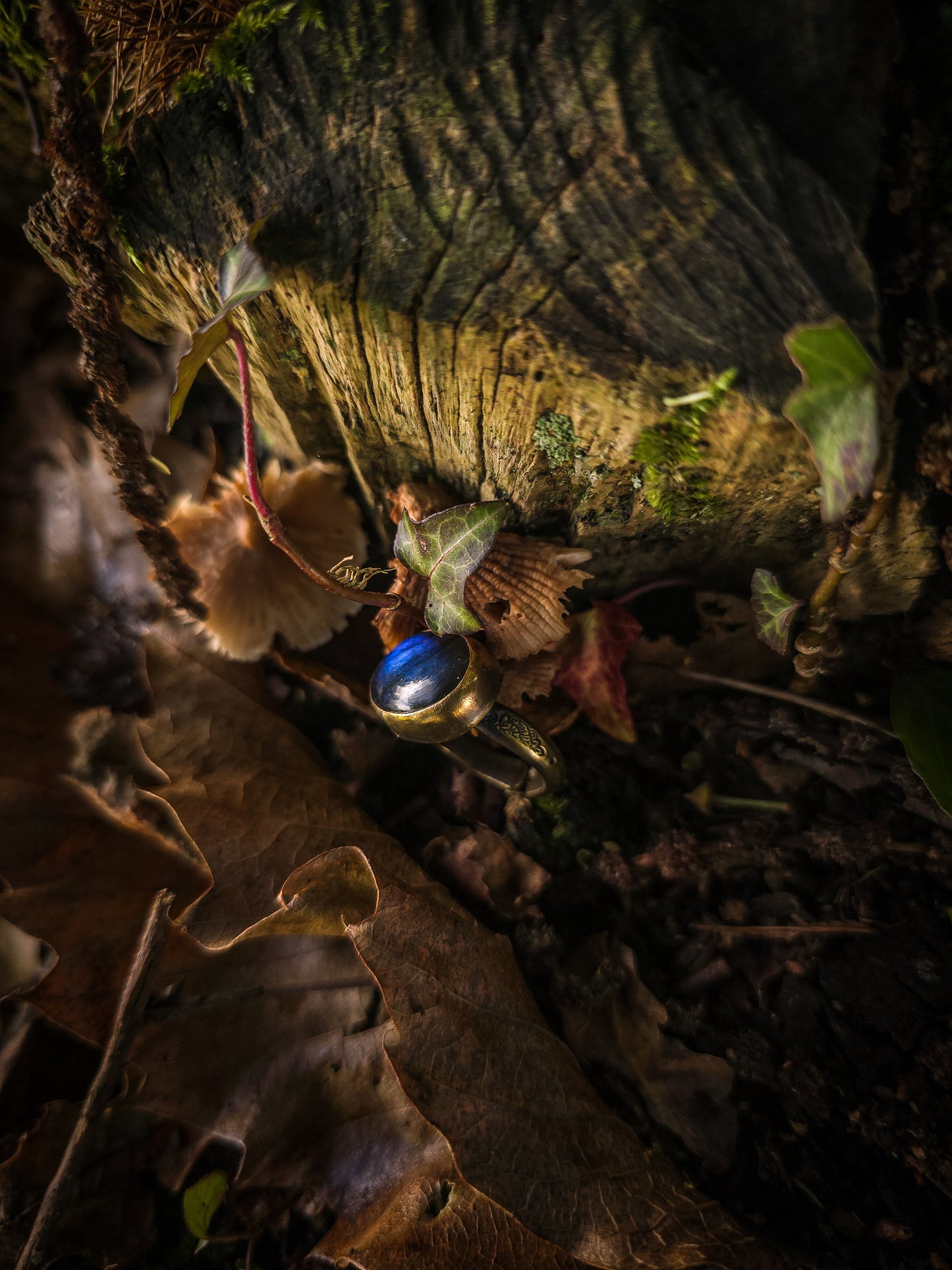 Bagues "Les Labradorables"