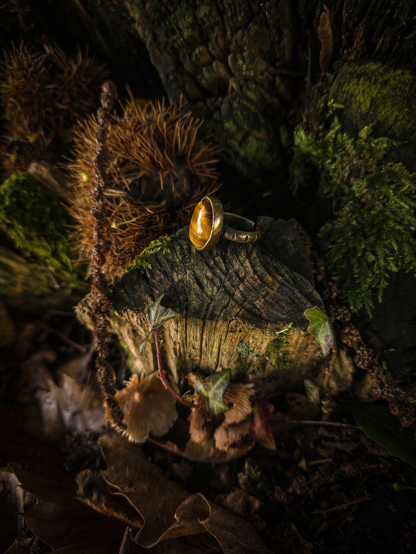 Bagues Œil de Tigre