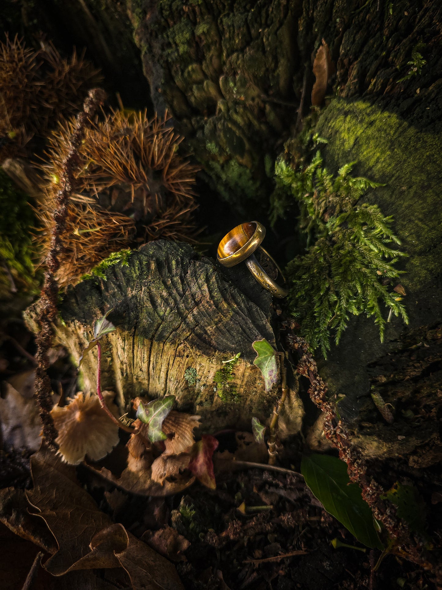 Bagues Œil de Tigre