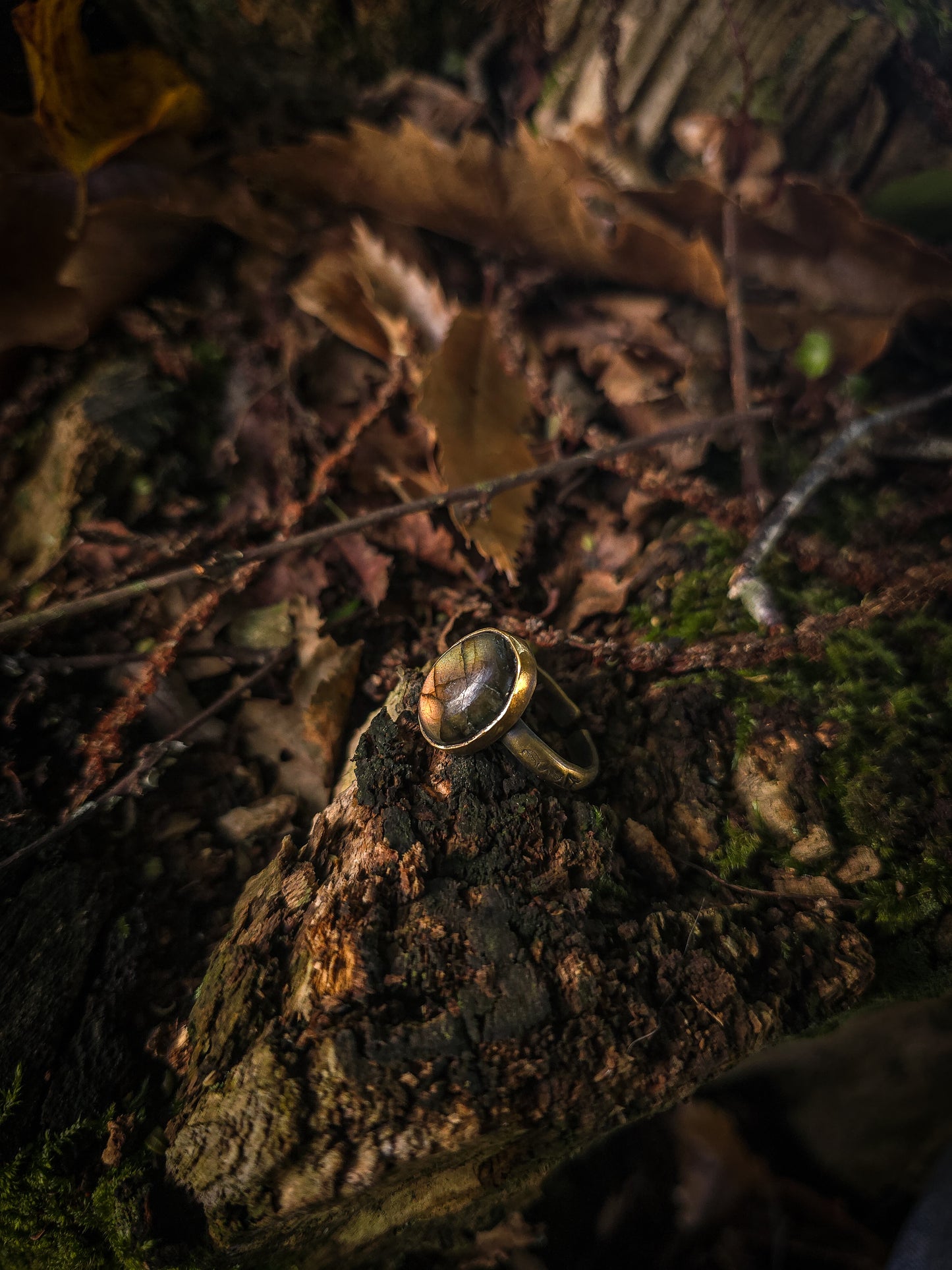 Bagues "Les Labradorables"