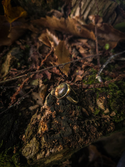 Bagues "Les Labradorables"