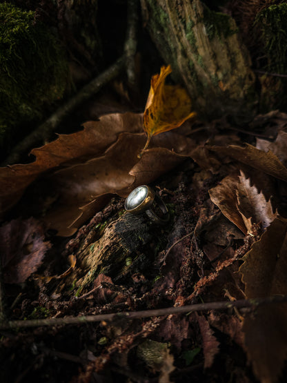 Bagues "Les Labradorables"